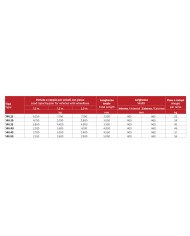 Coppia di rampe in alluminio con bordo mt 3,5