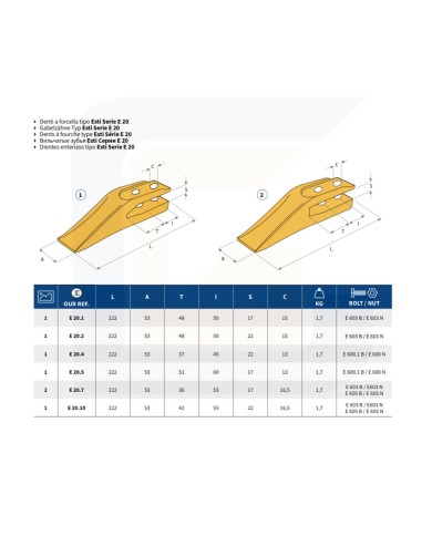 Dente a forcella e20.1