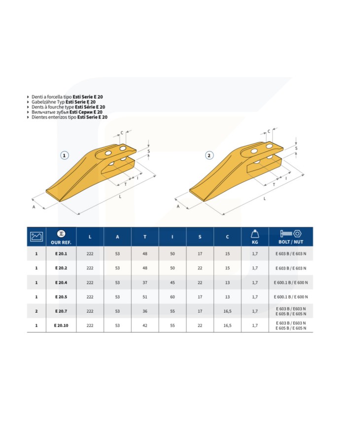 Dente a forcella e20.5